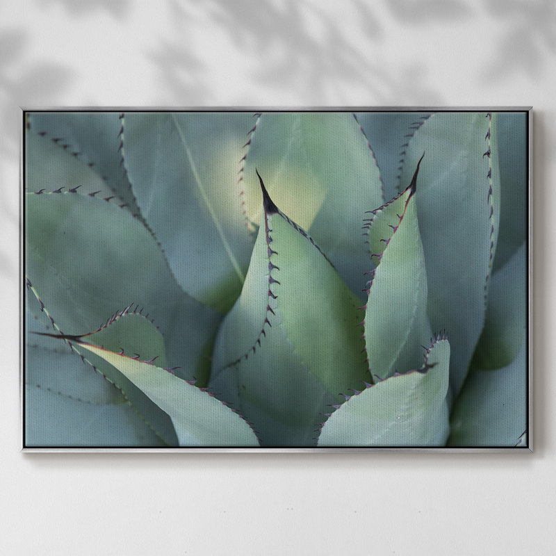 " Blue Agave I ", 27" H x 41" W x 2" D, Silver Framed