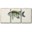 Collection de poissons tropicaux VI 3 pièces-2133593197-2133593190