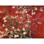 Almond Blossom Red Variation by Vincent Van Gogh - Wrapped Canvas Print-1115556529
