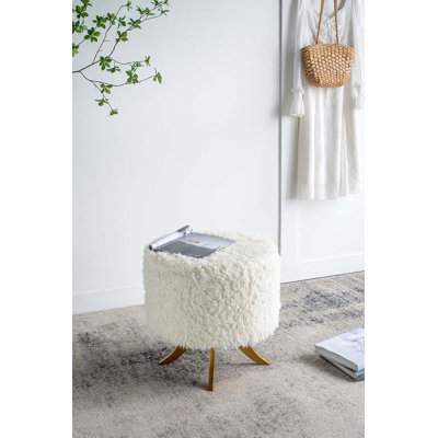 Accent Stool by Everly Quinn