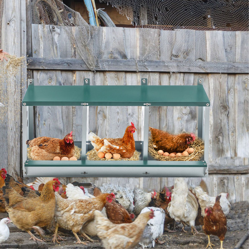 Boîtes de nidification en métal pour poulet, boîte de nidification à 3 compartiments, boîtes de nidification en acier galvanisé pour poules, facile à assembler