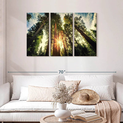 Coucher de soleil sur les arbres Harnek