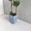 Kamarri Handmade Pot Planter-1693279374-1693279361