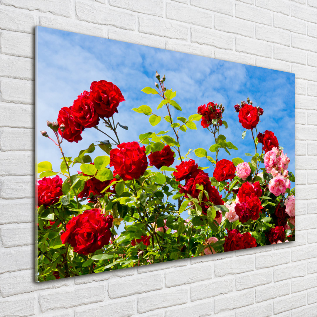 Glasbild Wild Roses