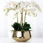 Orchid Floral Arrangements in Planter