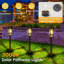 Matte Black Solar Powered Pathway Light