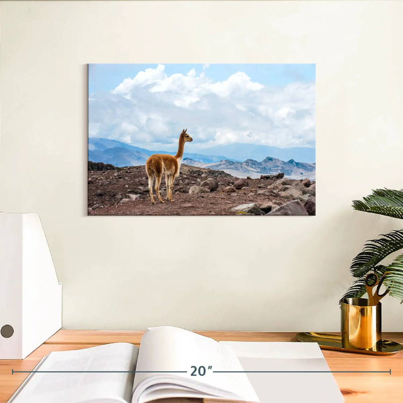 Brampt Vicuna, 8" H x 12" W
