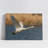 Swan Flying over Water-227246662