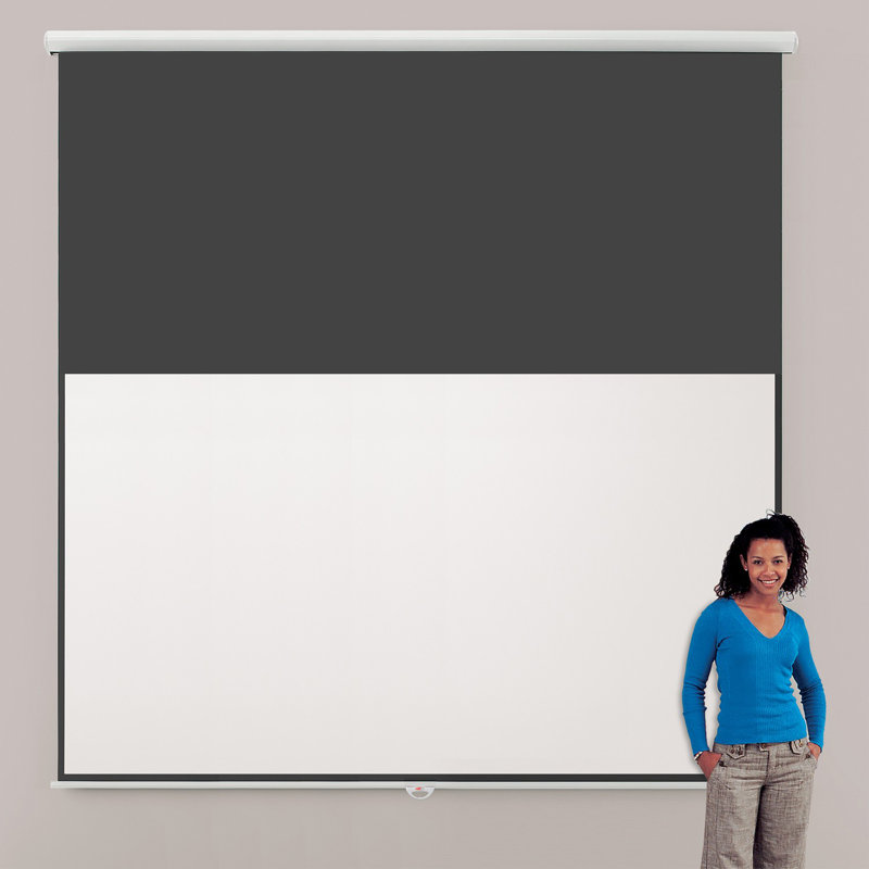 Symple Stuff Manual Projector Screen Projector Screen, 169cm H x 300cm W - Widescreen 16:9