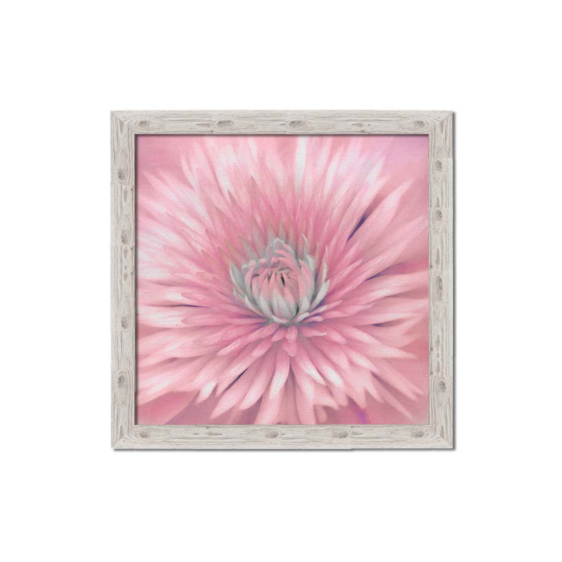 Clematis by Hal Halli. Paper Print - Mounted & Framed, 44" H x 44" W