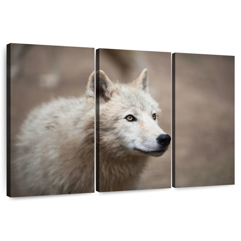 Brampt Arctic White Wolf, 24" H x 38" W