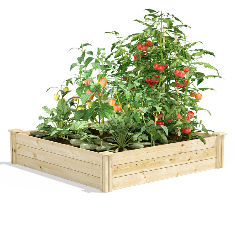 Katsuyoshi Wood Raised Garden Bed, Pine, 10.5" H x 48" W x 48" D