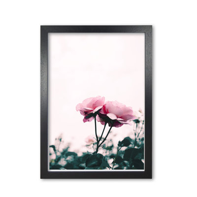 Rose - Print