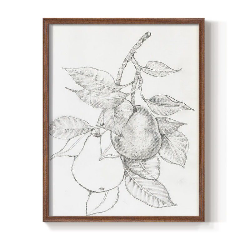 Impression encadrée FruitBearing Branch III - bois massif, Brun, H 14 po x l 11 po