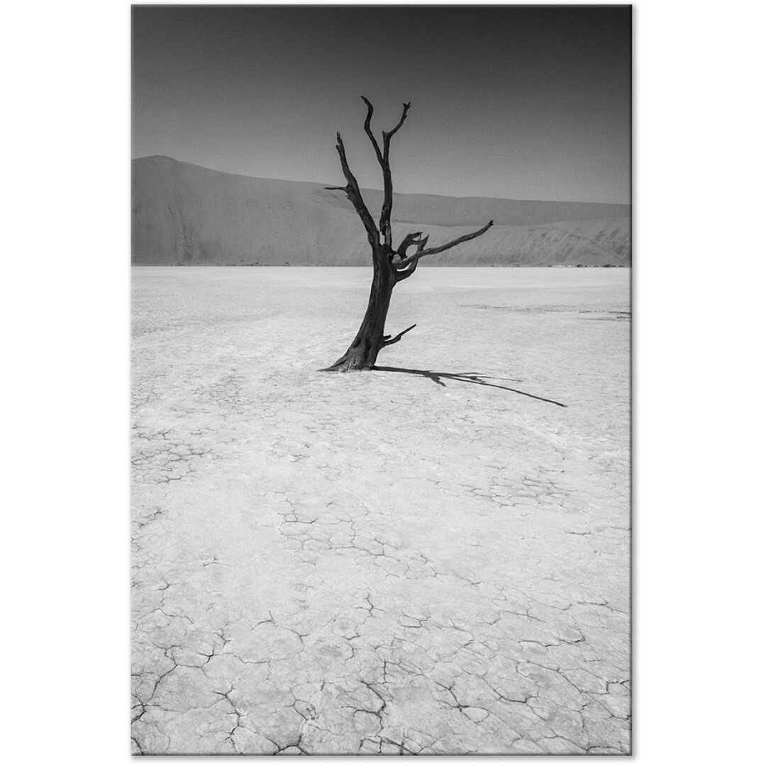 Leinwandbild Baum in der Wüste