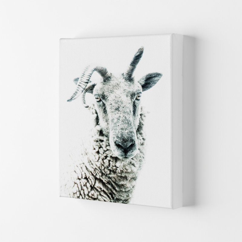 Sheep by Victoria Frost - Print, 29.7cm H x 21cm W x 4cm D, Wrapped Canvas