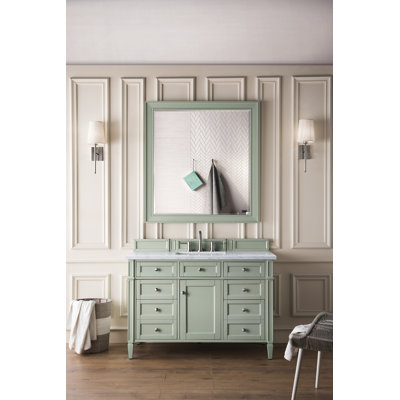 Dussault 48'' Single Bathroom Vanity with Top