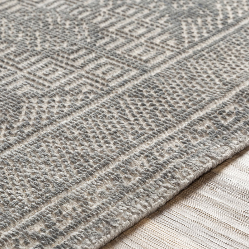 Blaine Hand Knotted Oriental Indoor Rug, Rectangle 2' x 3'