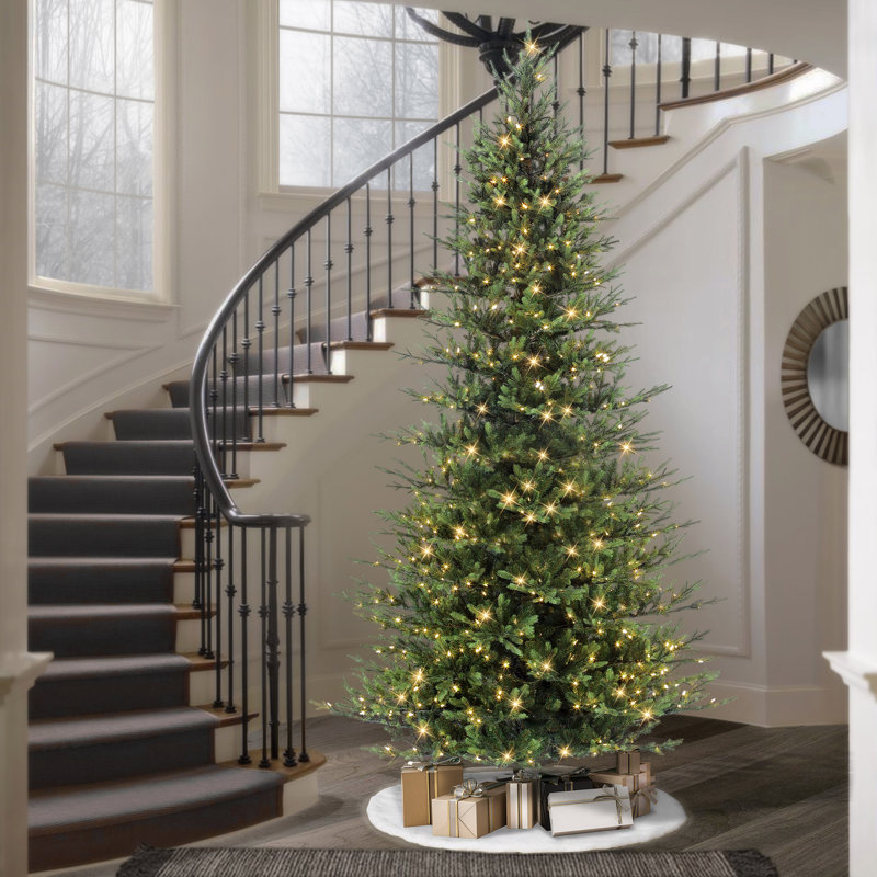 Hachmin 10' Lighted Artificial Fir Christmas Tree
