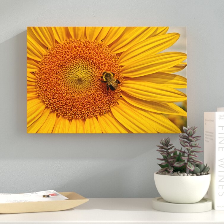 Sunflower with Honey Bee - Photograph Print On Canvas Ebern Designs Size: 32 H x 48 W x 1.5 D, Format: Gray White Floater Frame