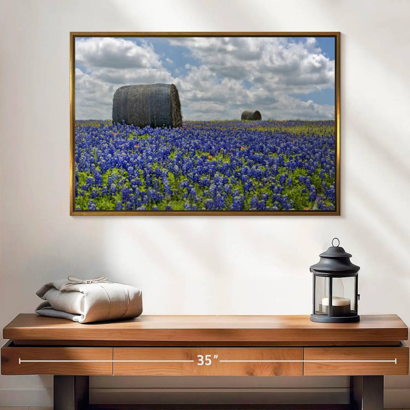 Texas Bluebonnets, 25 po x 17 po, Cadre flottant doré