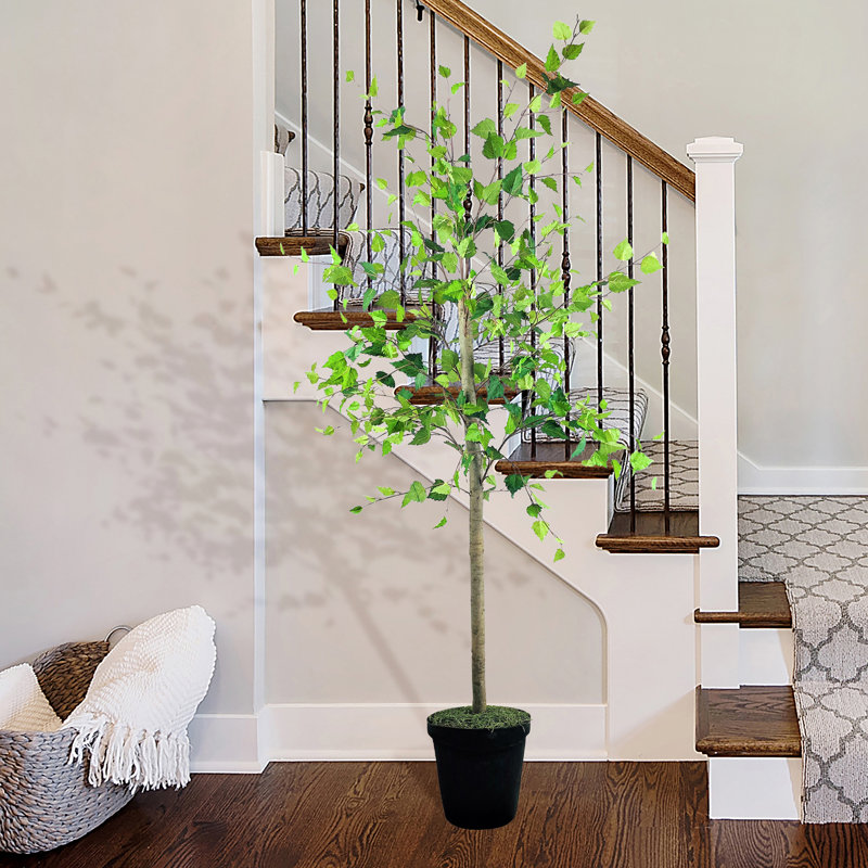 Lobos 72'' Faux Birch Tree in Pot