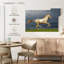 Brampt magnifique cheval Akhal Teke-106322390