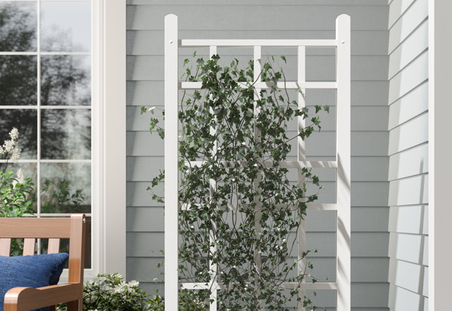 Top-Rated Trellises