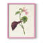 «Pretty Pink Botanicals VI», reproduction encadrée - bois massif-483493232-483493234