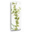 «Mixed Greens LX» par Lisa Audit-2130059987