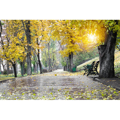 " Alley In The Park "