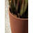 Veradek Patina Series Selena 28" Planter-109079906