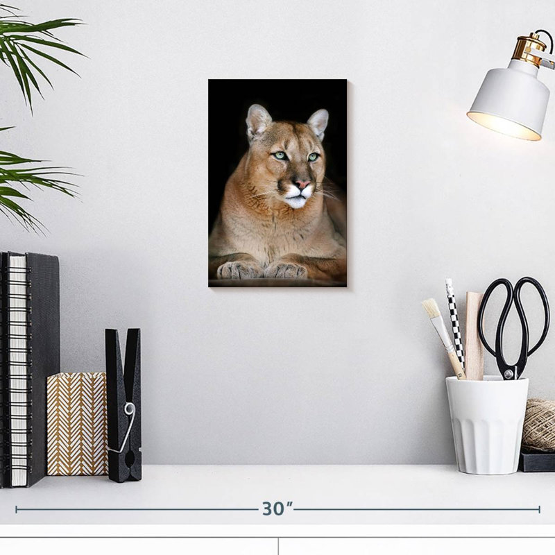 Chat sauvage majestueux Brampt, H 12 po x l 8 po
