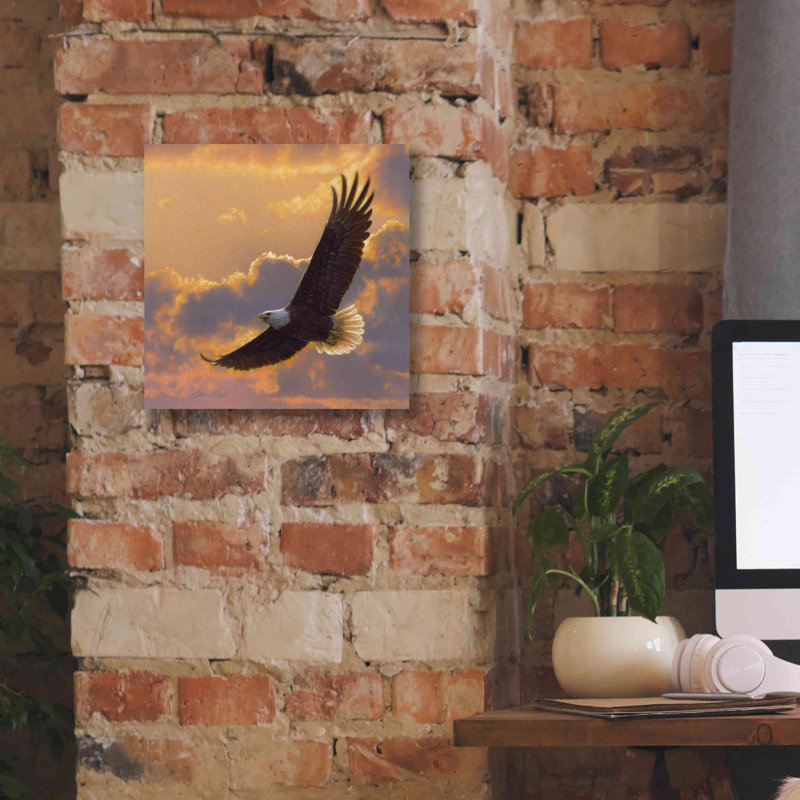 «Soaring Spirit» par Collin Bogle, art mural sur toile, H 12 po x l 12 po x P 0,75 po