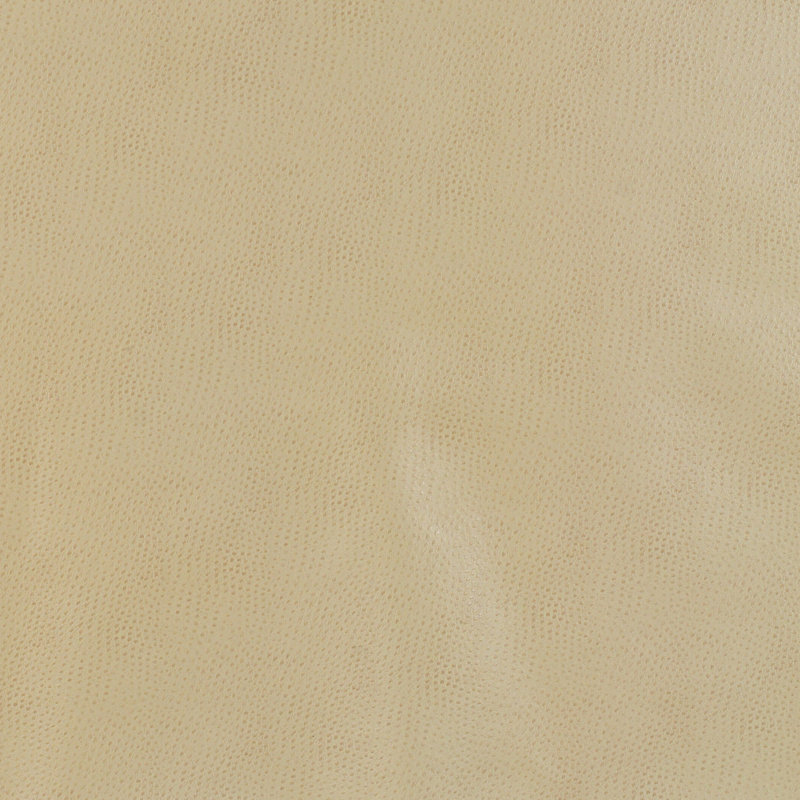 Delaney Design Fabric, Light Beige