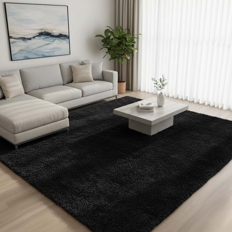 Tapis intérieur moelleux 8 x 10 po