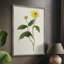 «Flowers of the Seasons», reproduction encadrée en bois massif-455269967