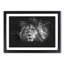 Lion With Piercing Eyes Paint Splash - Picture Frame Graphic Art-56865654-56865643