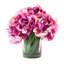 Fuchsia Hydrangea in Water Vase