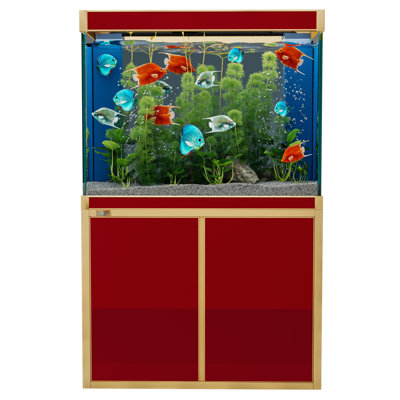 Rectangle Aquarium Tank