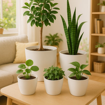 Ensemble de 5 pots à fleurs blancs en plastique - Design rond moderne