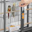 Cage à oiseau Draymond