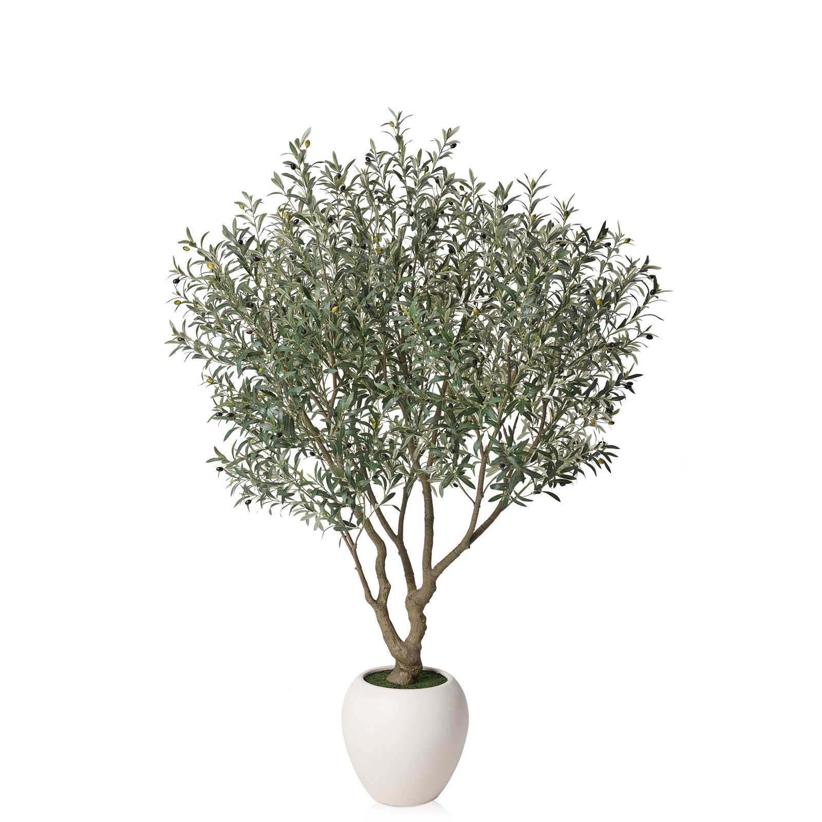 Moreell 96" Olive Tree in Pot