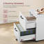 42cm Wide 2 -Drawer Mobile File Cabinet