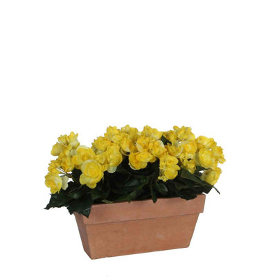 Geranium Arrangement in Pot