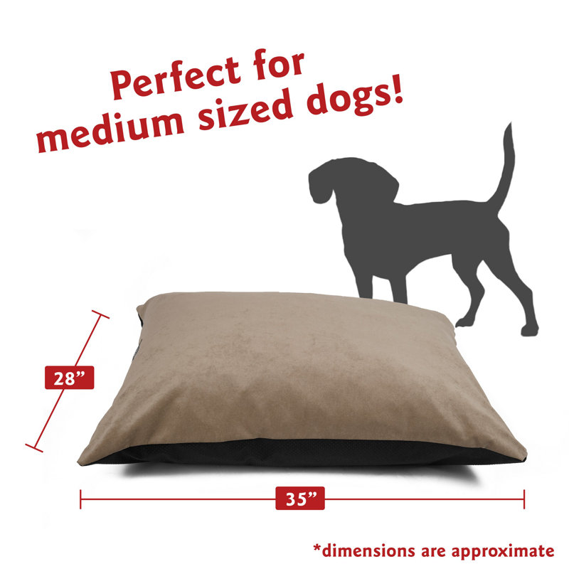 Coussin pour chien Villa Majestic, Gris, Moyen (l 35 po x P 28 po x H 4 po)