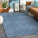 Cusick Indoor Rug
