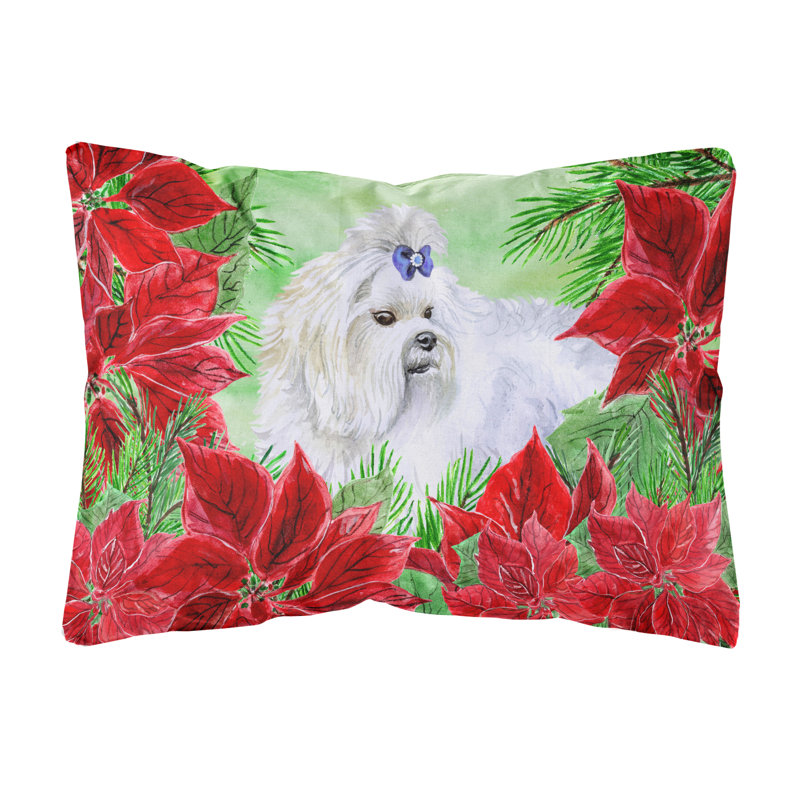  Coussin décoratif intérieur / extérieur Maltese Poinsettias