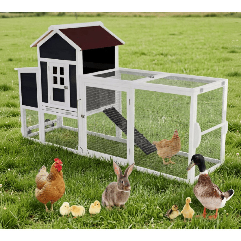 Poulailler en bois pour 3 poules, Black & White with Wheels