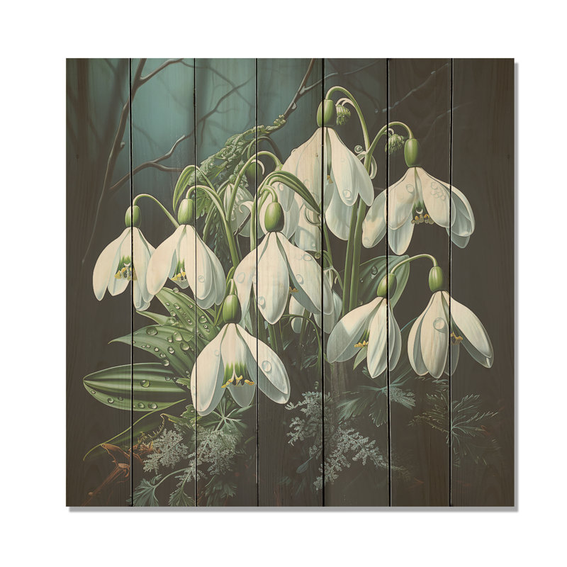 Morning Hush Snowdrops In Silent White VI - Snowdrops On Wood Print, 36" H x 36" W